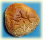 マロンあんパン